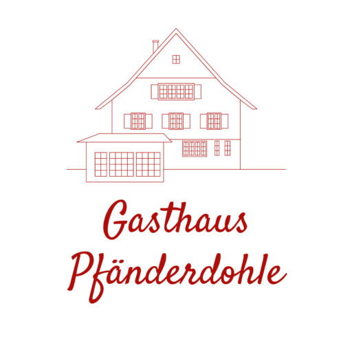 Pfänderdohle